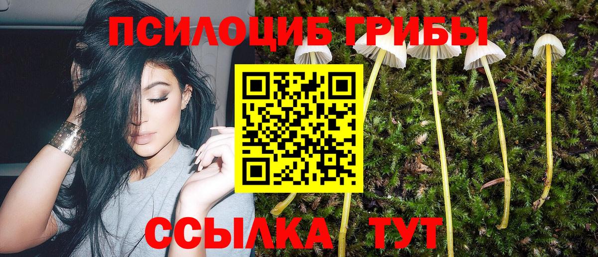 Марихуана Норильск